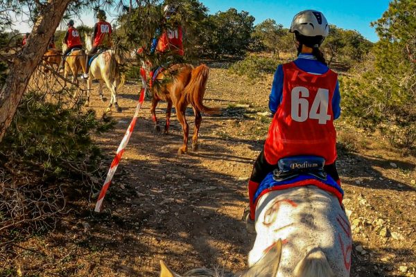 XXII Raid Hípico Nacional Ciudad de Elche: